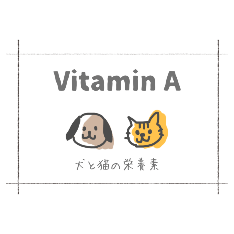犬と猫の栄養素「ビタミンA」