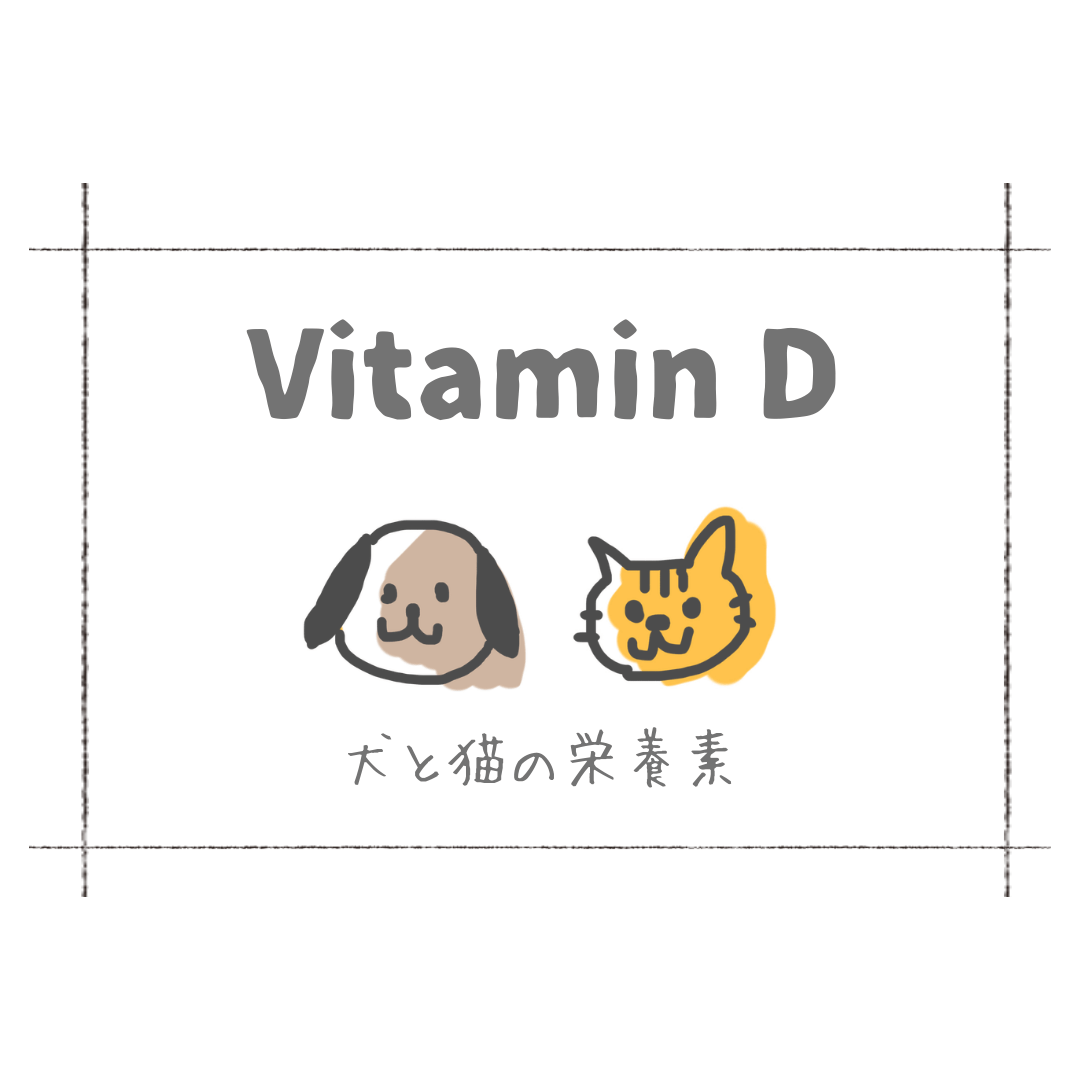 犬と猫の栄養素「ビタミンD」