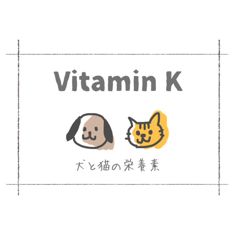 犬と猫の栄養素「ビタミンK」
